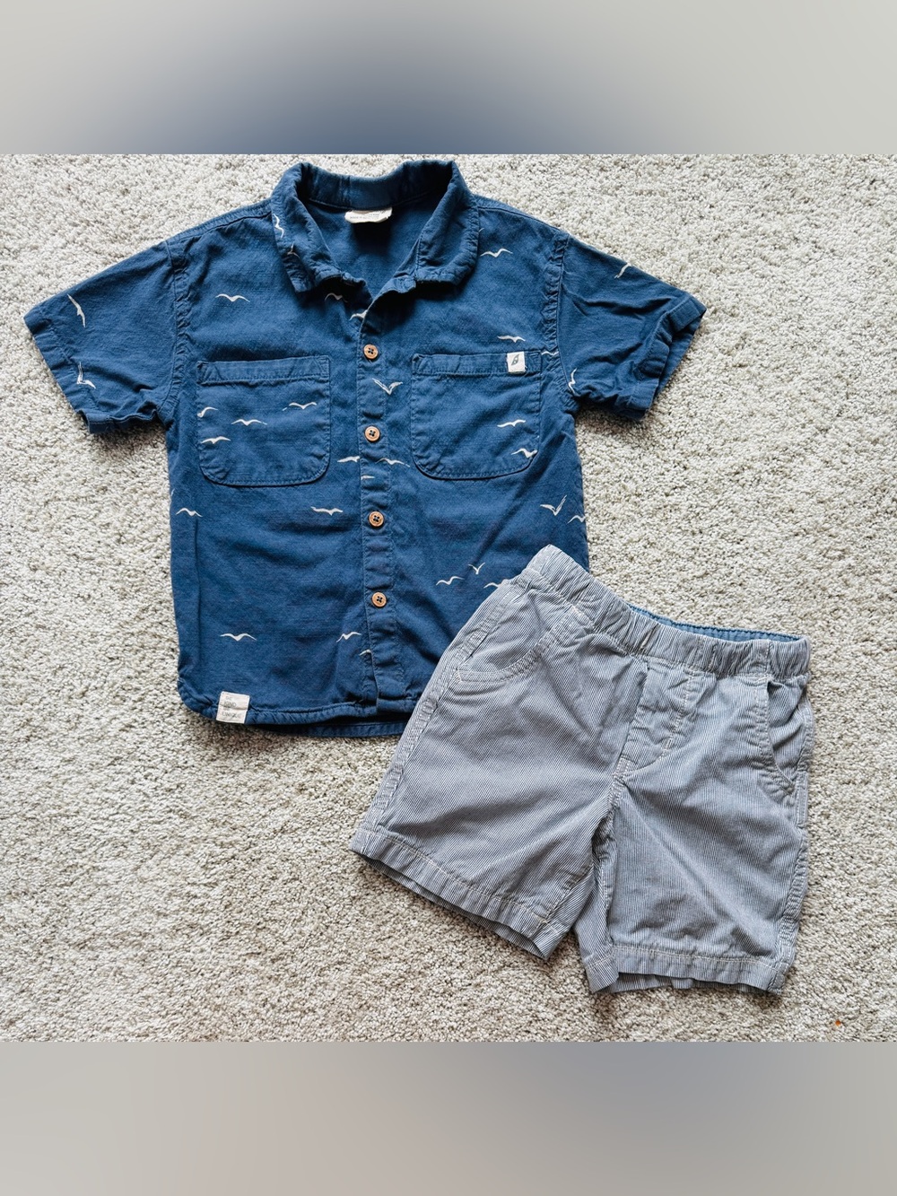 Cute boys size 4t outfit.  Easy-peasy shirt & baby Gap shorts.